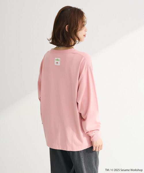 FRUIT OF THE LOOM（フルーツオブザルーム） tシャツ セサミストリート 