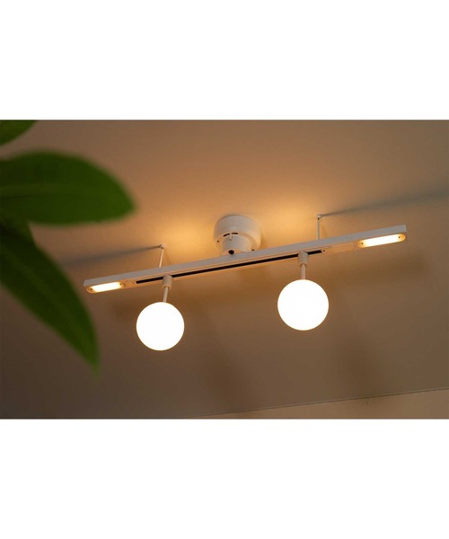 BRID（ブリッド） 照明 ライティング ダクトレール LED ダブル