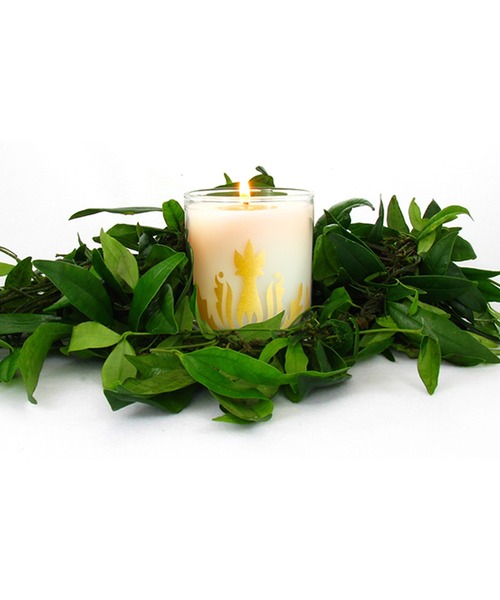 ディプティック アンバー（琥珀） アロマキャンドル 190g DIPTYQUE