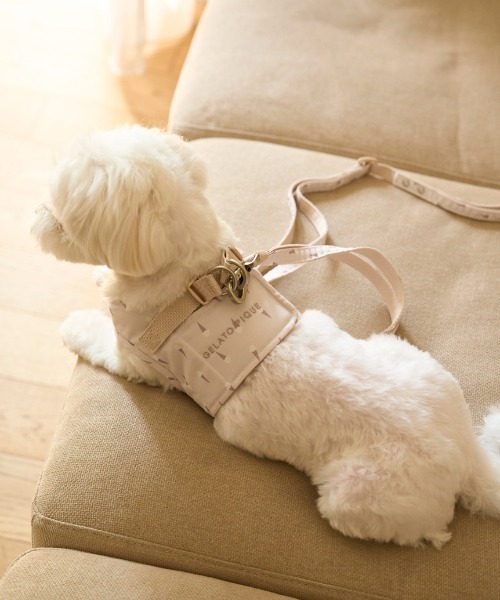gelato pique 犬 ハーネス リード 「CAT＆DOG」「販路限定商品