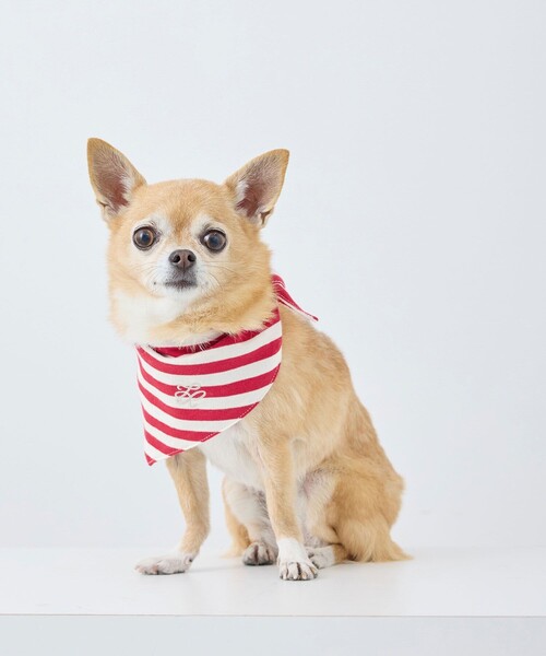 犬服 赤いバンダナ柄 サイズ2 ズボンセット ROPE' PICNIC（ロペ ピクニック） 犬 服 「DOG」バンダナ スカーフ