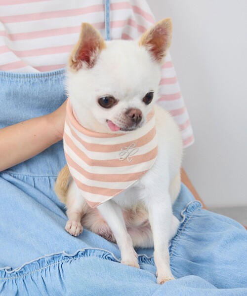 犬服 赤いバンダナ柄 サイズ2 ズボンセット ROPE' PICNIC（ロペ ピクニック） 犬 服 「DOG」バンダナ スカーフ