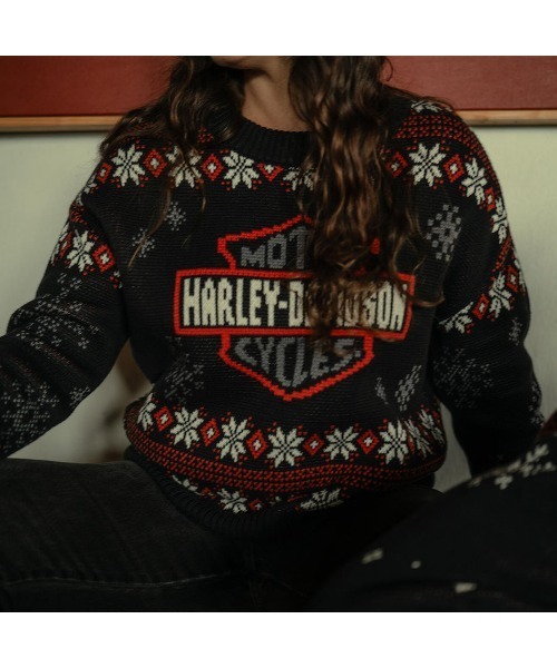 【入手困難!!】ハーレーダビッドソン ✈︎刺繍 ゆるだぼ ニット セーター 入手困難!!】ハーレーダビッドソン ✈︎刺繍 ゆるだぼ ニット セーター
