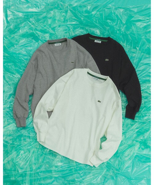 LACOSTE（ラコステ） tシャツ 「ビームスの百名品」「別注」LACOSTE