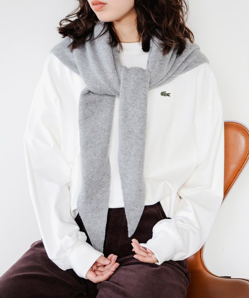 LACOSTE（ラコステ） tシャツ 「ビームスの百名品」「別注」LACOSTE