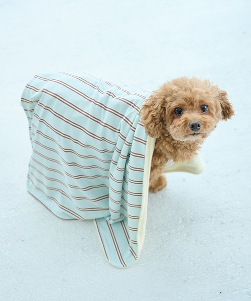 犬服・アクセサリー rapipimama ROPE' PICNIC（ロペ ピクニック） 犬 服 「DOG」マルチストライプ