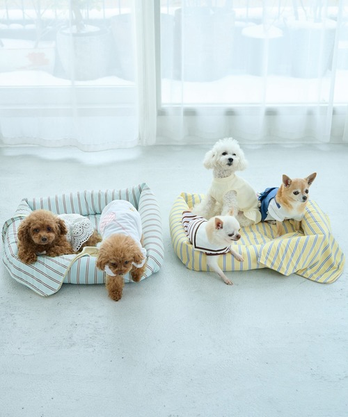 犬服♡ Ribon★6/2～6/8休み ROPE' PICNIC（ロペ ピクニック） 犬 服 「DOG」マルチストライプ