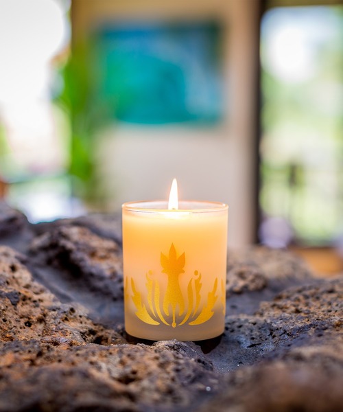 Malie Organics（マリエオーガニクス） キャンドル Soy Candle Pikake