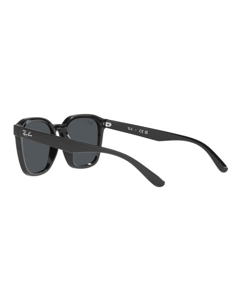 Ray-Ban レイバン サングラス RB4392D(アジア限定モデル) Ray-Ban サングラス レイバン RB4392Dライトカラーレンズ