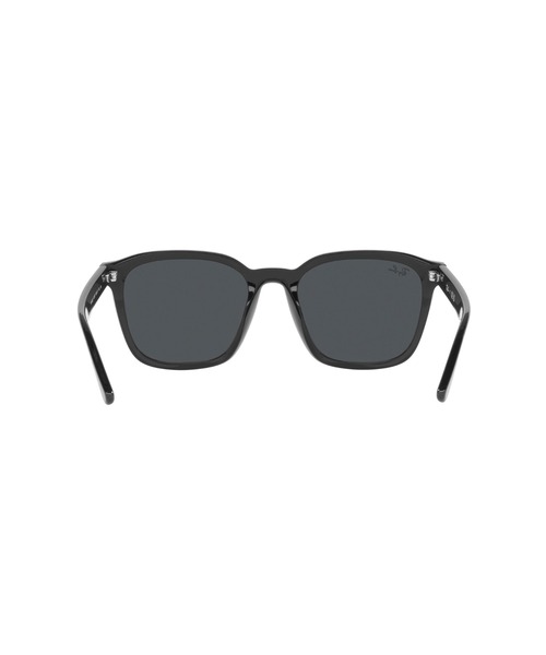 Ray-Ban サングラス レイバン RB4392D(アジア限定モデル) メンズ