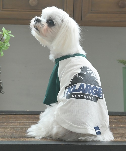 大型犬服 ラグランTシャツ 【専用】 犬服型紙 ラグランTシャツ 大型犬用 テキスト付き : eパターン