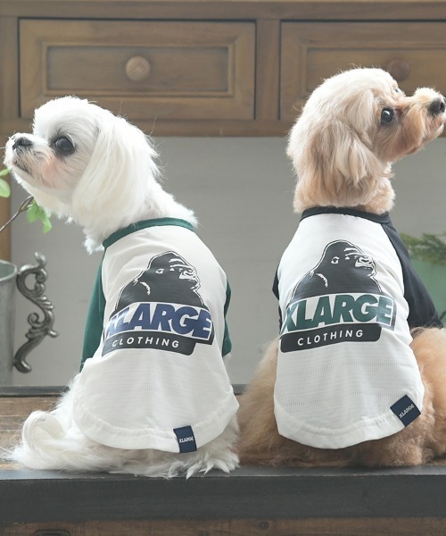 大型犬服 ラグランTシャツ他【専用】 犬服型紙 ラグランTシャツ 大型犬用 テキスト付き : eパターン
