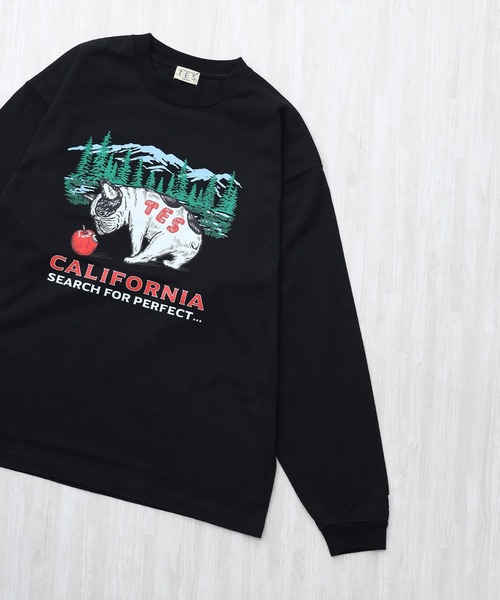 The Endless Summer（エンドレスサマー） tシャツ TES CALIFORNIA