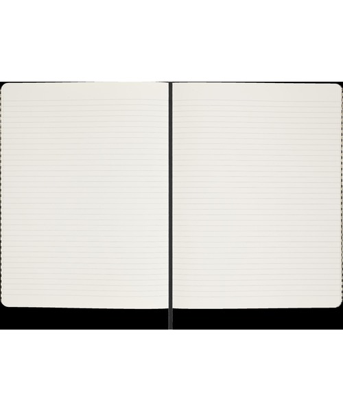 MOLESKINE（モレスキン） 手帳 Shine コレクターズボックス ゴールド