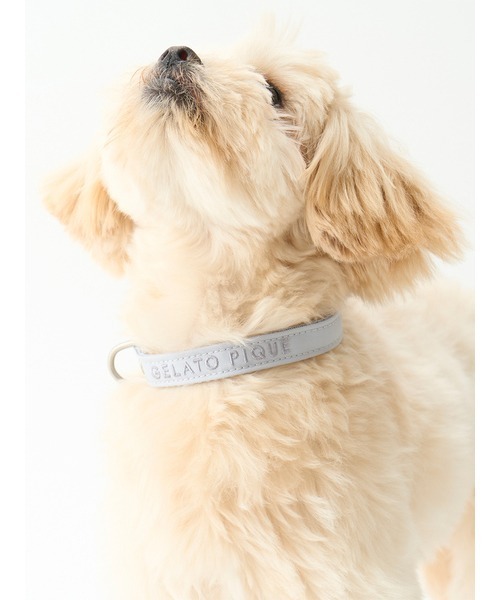 ジェラートピケ　キャットアンドドッグ　ハーネス　首輪　リード CAT&DOG】【販路限定商品】モチーフ柄ハーネス（首輪・リード