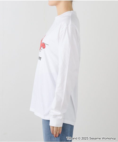 SESAME STREET tシャツ STREET/セサミストリート 別注 T PRINT