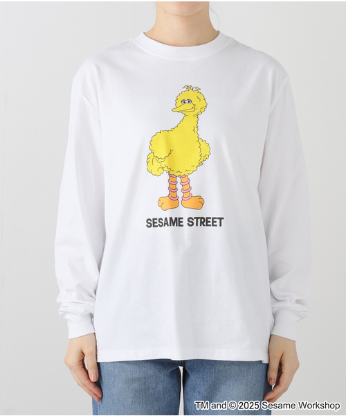 SESAME STREET tシャツ STREET/セサミストリート 別注 T PRINT