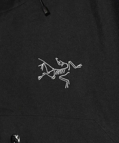 ブルゾン アウター ARCTERYX / Beta SV Jacket M メンズの画像