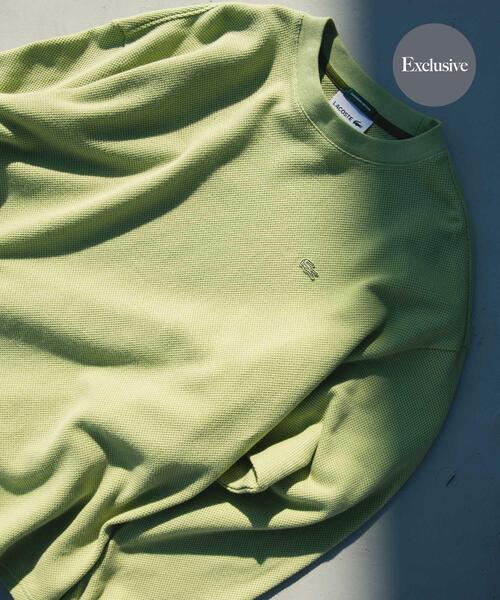 LACOSTE（ラコステ） tシャツ 「別注」LACOSTE×DOORS THICK PIQUE