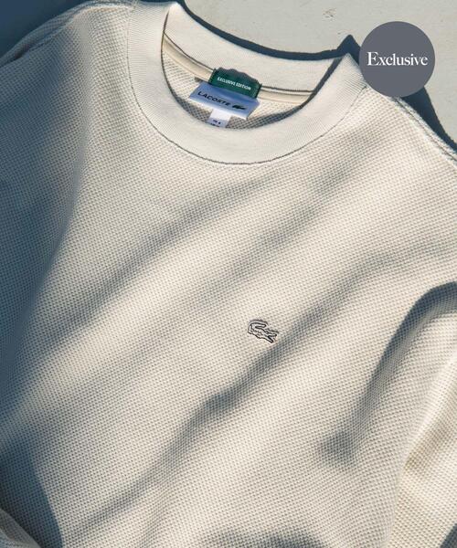 LACOSTE（ラコステ） tシャツ 「別注」LACOSTE×DOORS THICK PIQUE