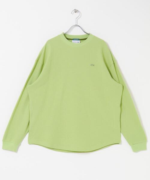 LACOSTE（ラコステ） tシャツ 「別注」LACOSTE×DOORS THICK PIQUE