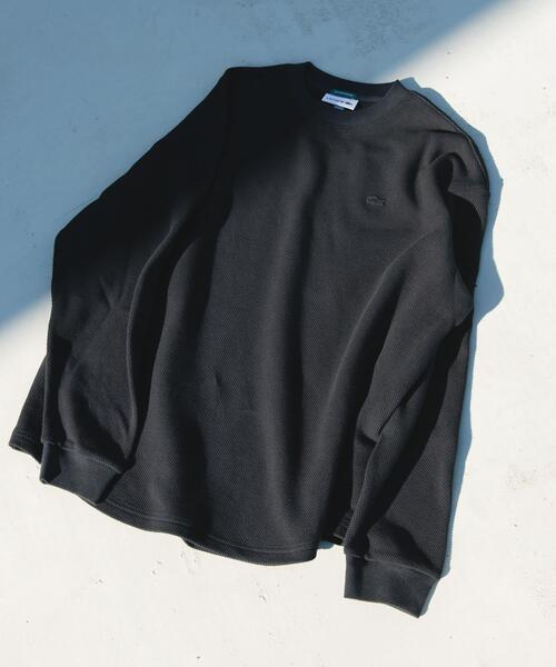 LACOSTE（ラコステ） tシャツ 「別注」LACOSTE×DOORS THICK PIQUE