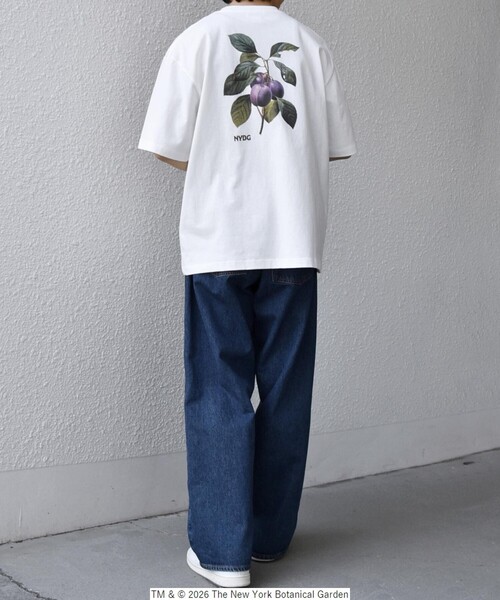 SHIPS any tシャツ 「SHIPS any別注」NYBG: ボタニカル プリント