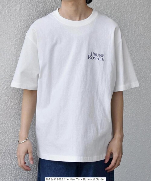 SHIPS any tシャツ 「SHIPS any別注」NYBG: ボタニカル プリント