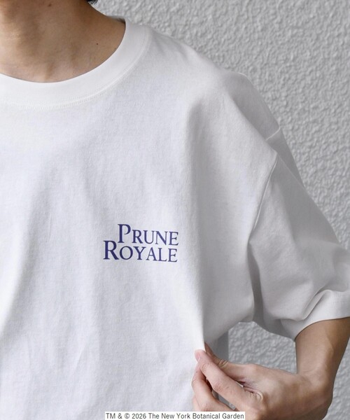 SHIPS any tシャツ 「SHIPS any別注」NYBG: ボタニカル プリント