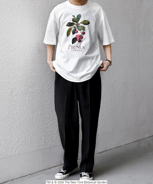 SHIPS any tシャツ 「SHIPS any別注」NYBG: ボタニカル プリント