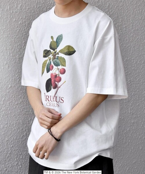 SHIPS any tシャツ 「SHIPS any別注」NYBG: ボタニカル プリント