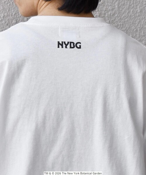 SHIPS any tシャツ 「SHIPS any別注」NYBG: ボタニカル プリント