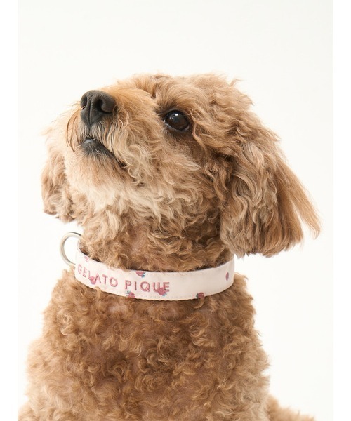 ジェラートピケ　キャットアンドドッグ　ハーネス　首輪　リード CAT&DOG】【販路限定商品】モチーフ柄ハーネス（首輪・リード