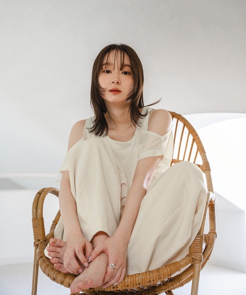 tシャツ GRADATION SHEER Tシャツ レディース マーブル×ゼブラシアーレイヤードTシャツ | AND ON JIONE STORE