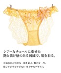 ショーツ 「透ける肌の抜け感を楽しむ、特別なラ...の詳細画像3