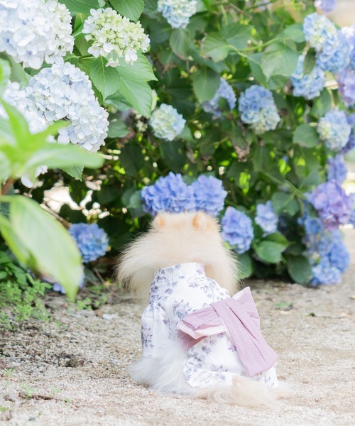 ONEKOSAMA OINUSAMA 犬 服 DESIGNERS GUILD コラボ ペット浴衣