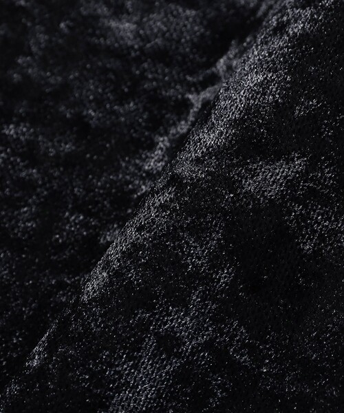 Ray BEAMS（レイ ビームス） tシャツ ベロア チュール ハイネック