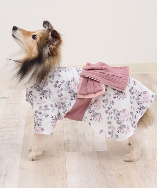 犬服・アクセサリー Ikumi 楽天市場】犬服 パーカー 秋 小型犬 超小型犬 犬 ドッグウェア