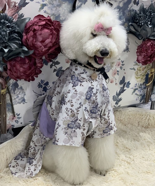 ONEKOSAMA OINUSAMA 犬 服 DESIGNERS GUILD コラボ ペット浴衣