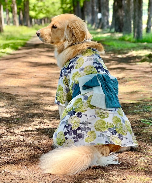 【Ｍ&Ａページ】ハンドメイド　犬服　浴衣　小型犬 M&A様専用ページ】ハンドメイド 犬服 浴衣 小型犬 - メルカリ