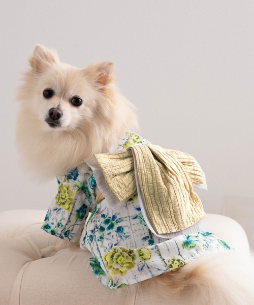 犬服和装 ONEKOSAMA 大型犬 楽天市場】本日終了＼最大P16倍！／ ペット浴衣 犬 猫 服 和装