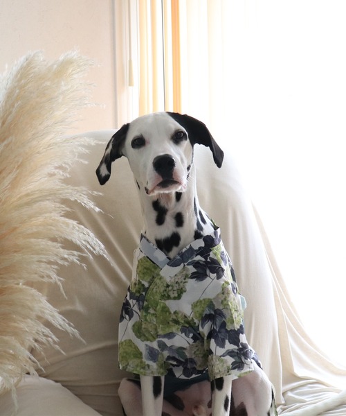 ONEKOSAMA OINUSAMA 犬 服 DESIGNERS GUILD コラボ ペット浴衣