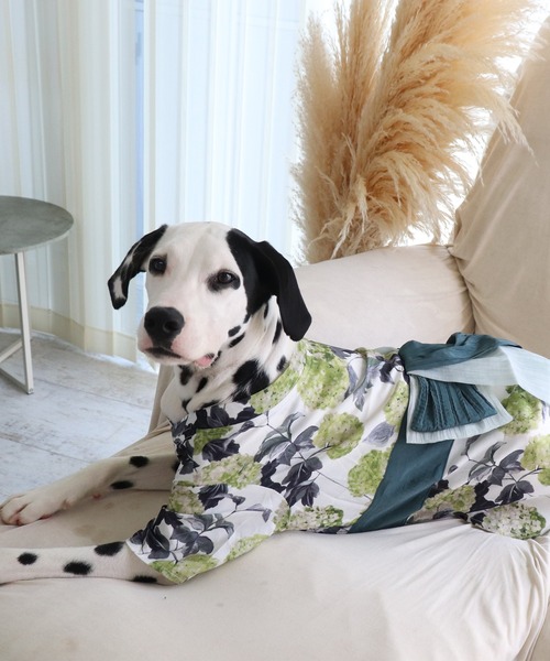 ONEKOSAMA OINUSAMA（おねこさま・おいぬさま） 犬 服 DESIGNERS GUILD