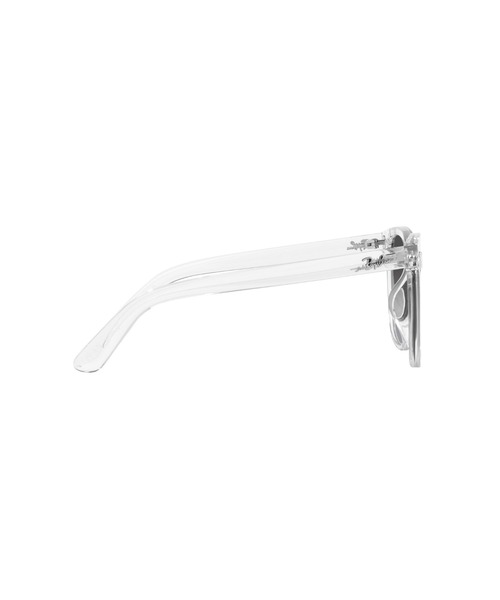 Ray-Ban（レイバン） サングラス サングラス Dmodels RB4401D(アジアン