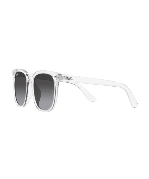 Ray-Ban（レイバン） サングラス サングラス Dmodels RB4401D(アジアン