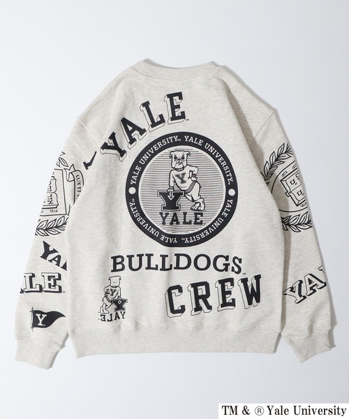 セール】YALE/イエール カレッジロゴ フロッキープリント ビッグ
