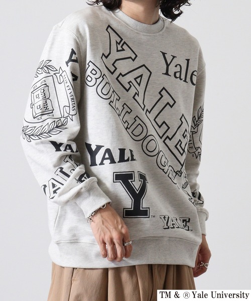 セール】YALE/イエール カレッジロゴ フロッキープリント ビッグ