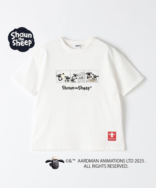 SHIPS Colors（シップスカラーズ） tシャツ SHIPS Colors:80〜130cm