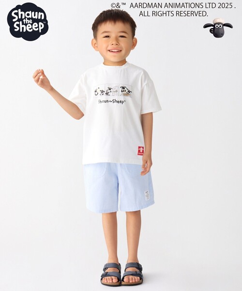 SHIPS Colors（シップスカラーズ） tシャツ SHIPS Colors:80〜130cm