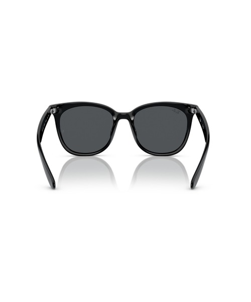 Ray-Ban サングラス レイバン RB4379D(アジア限定モデル・ロー